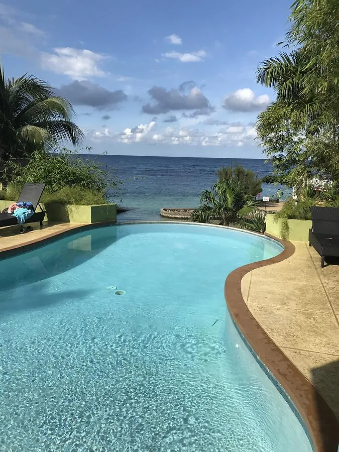 Alexanders Penthouse On The Beach Ocho Rios